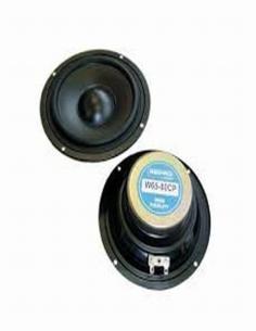 ALTAVOZ GRAVES W08-60W 503.018